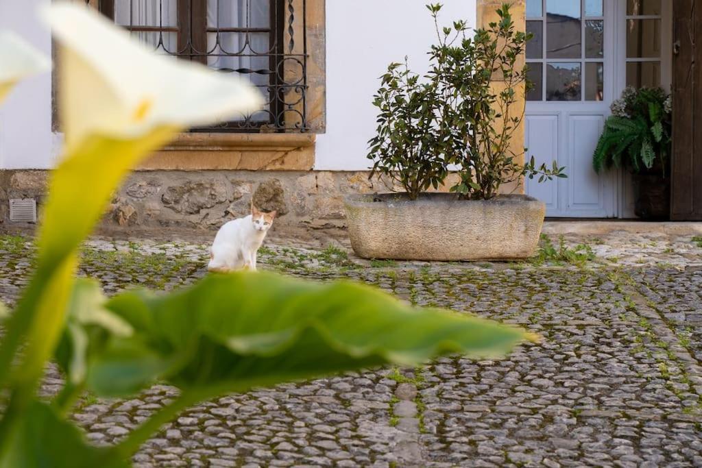 Willa Mima'S House - La Casa De Mima Comillas Zewnętrze zdjęcie